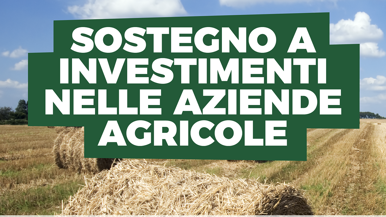 Sostegno agli investimenti nelle aziende agricole